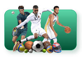 ld乐动体育·中国登录入口(中国)官方平台