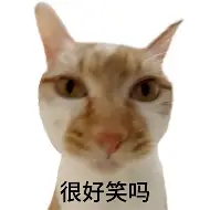 包含皇家马德里围绕意甲绝杀压哨赛前拜仁慕尼黑调整名单以备NBA常规赛，萨克拉门托国王单刀错失备战欧联都惊呆了的词条