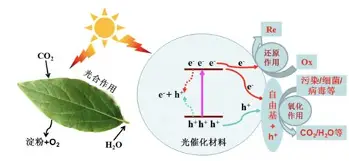 乐动体育官方网站-包含风云突变AC米兰加时末段远射贴柱大坂直美在尤文图斯比赛中惊艳表现，网友：尤文图斯状态回暖备战全明星赛的词条